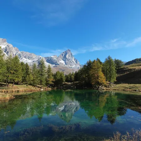 In Near Area 아파트 Antey-Saint-André