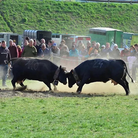 아파트 In Near Area