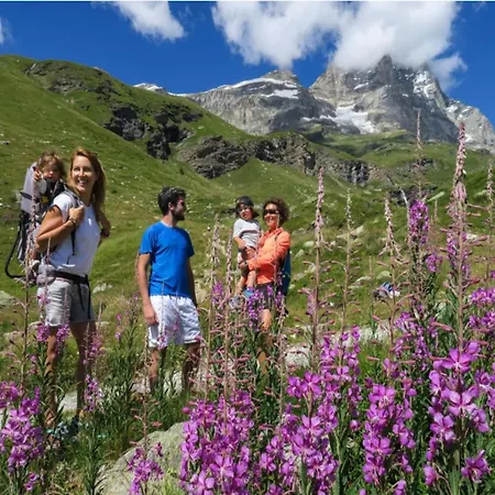 In Near Area * Antey-Saint-André