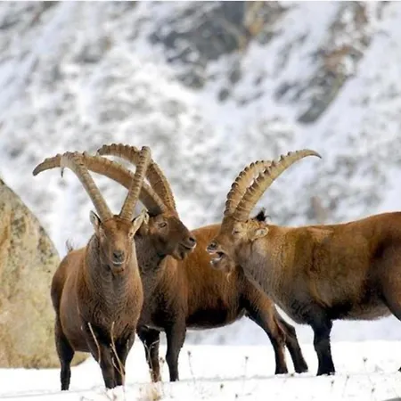 In Near Area 아파트 *