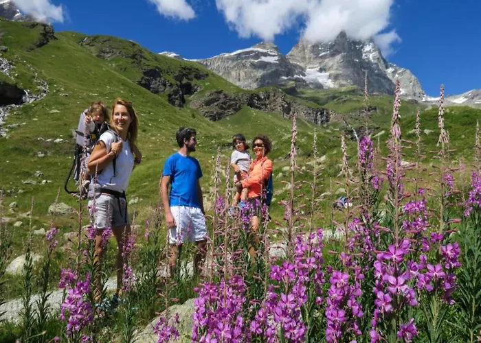 In Near Area * Antey-Saint-André